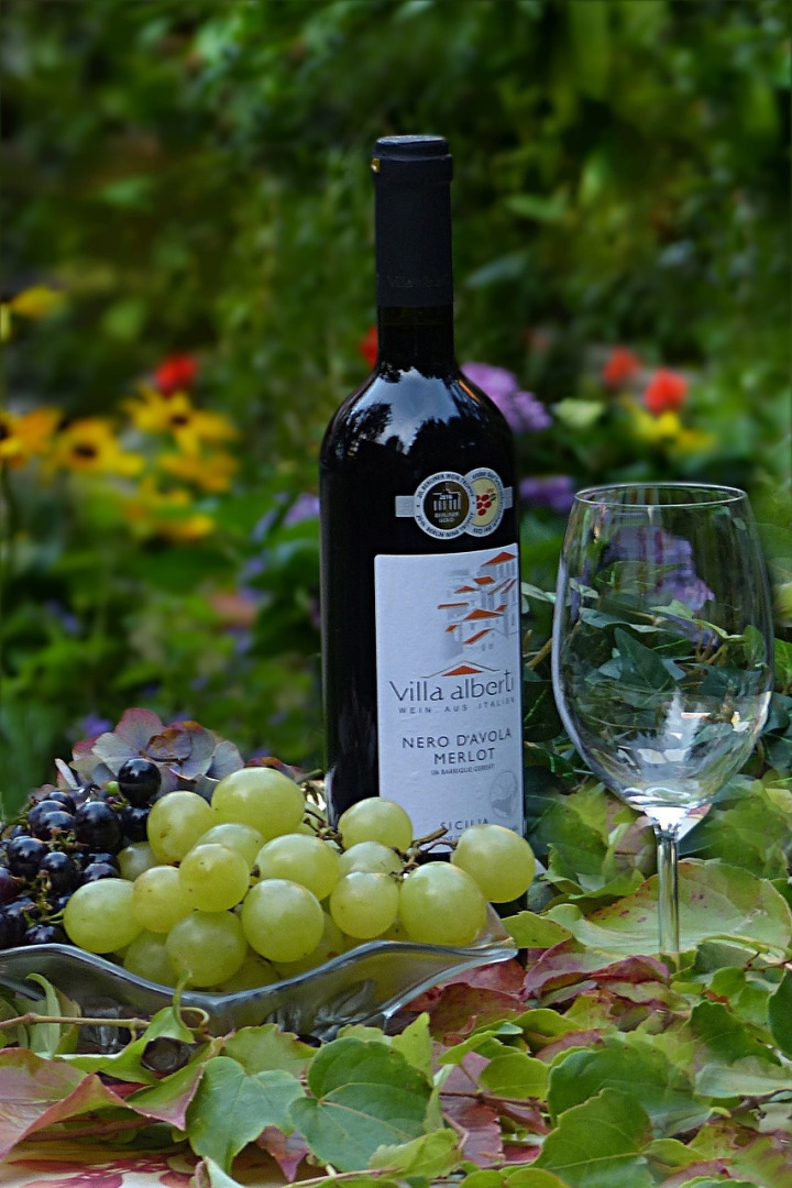 grape seed extract grapes bottle